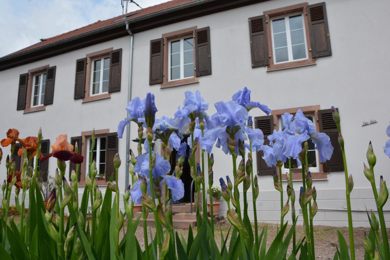 Ferme Les Iris Appartement Issenheim Buitenkant foto