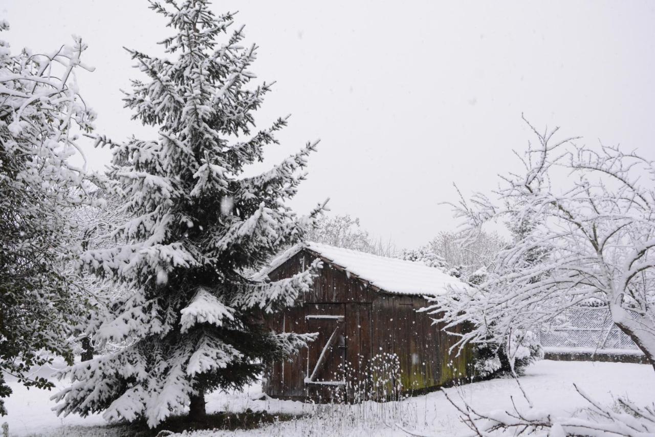 Ferme Les Iris Appartement Issenheim Buitenkant foto