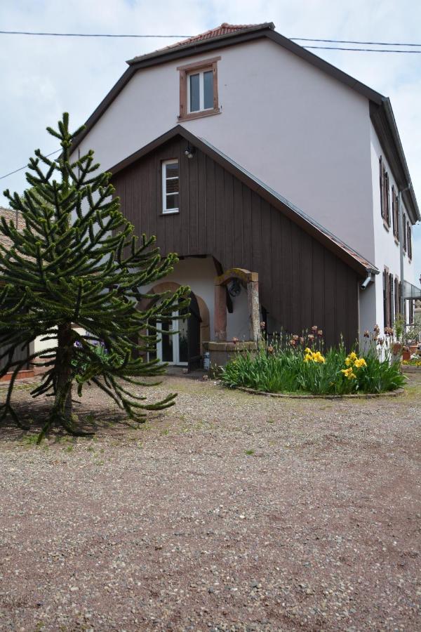 Ferme Les Iris Appartement Issenheim Buitenkant foto